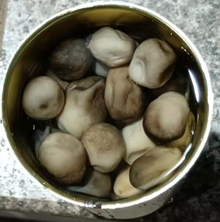 Canned Straw mushroom